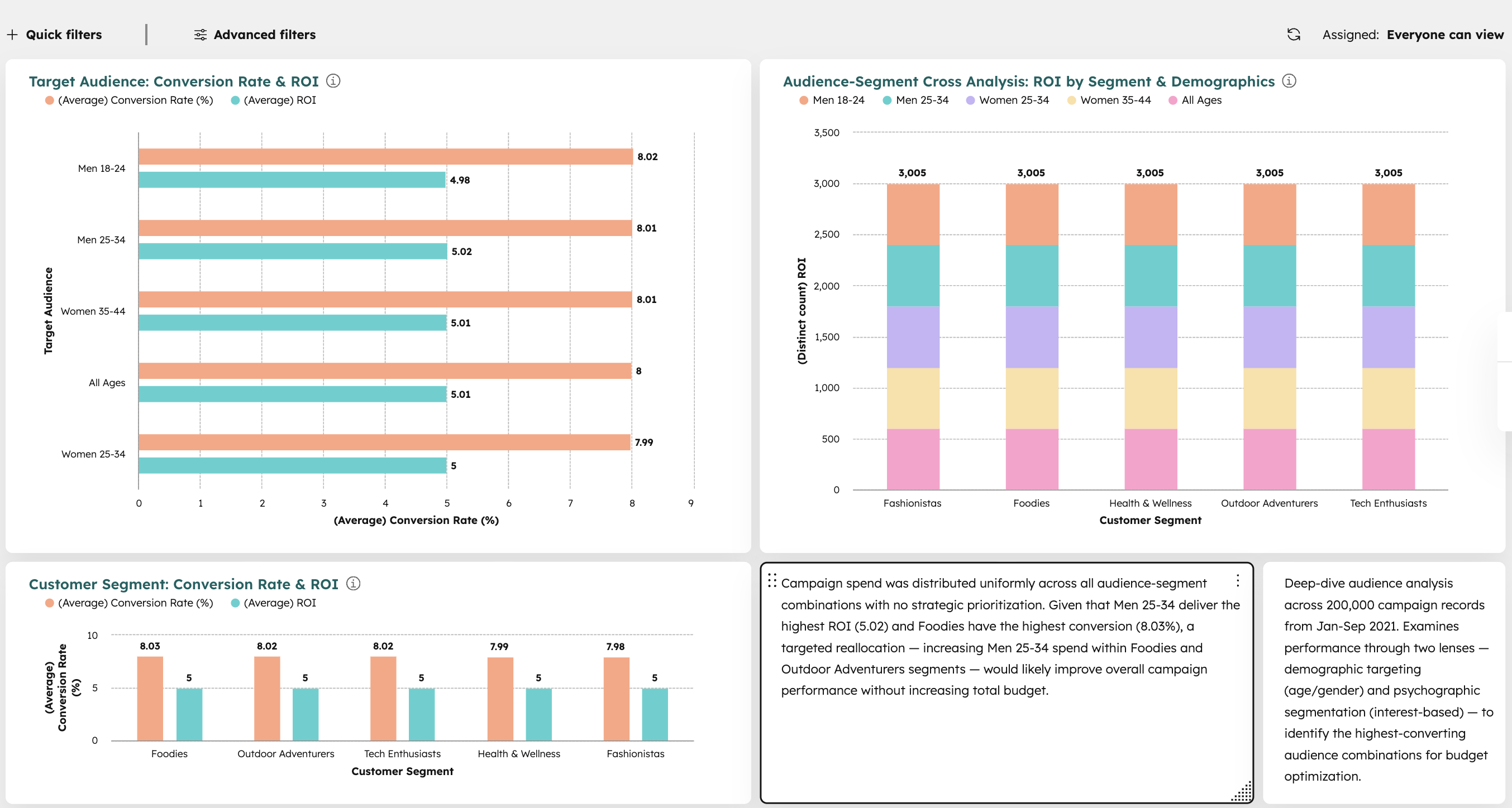 HubSpot Audience Intelligence Dashboard